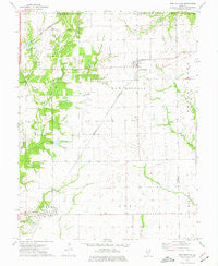 New Douglas Illinois Historical topographic map, 1:24000 scale, 7.5 X 7.5 Minute, Year 1974