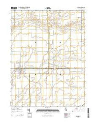 Newman Illinois Current topographic map, 1:24000 scale, 7.5 X 7.5 Minute, Year 2015
