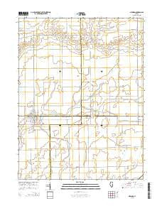 Newman Illinois Current topographic map, 1:24000 scale, 7.5 X 7.5 Minute, Year 2015