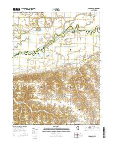 Newmansville Illinois Current topographic map, 1:24000 scale, 7.5 X 7.5 Minute, Year 2015