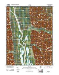 Nutwood Illinois Historical topographic map, 1:24000 scale, 7.5 X 7.5 Minute, Year 2012