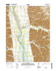 Nutwood Illinois Current topographic map, 1:24000 scale, 7.5 X 7.5 Minute, Year 2015