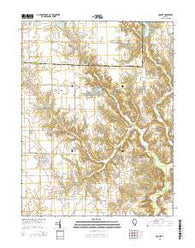 Oconee Illinois Current topographic map, 1:24000 scale, 7.5 X 7.5 Minute, Year 2015
