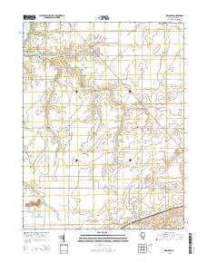 Owaneco Illinois Current topographic map, 1:24000 scale, 7.5 X 7.5 Minute, Year 2015