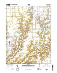 Palmyra Illinois Current topographic map, 1:24000 scale, 7.5 X 7.5 Minute, Year 2015