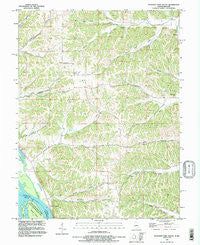 Pleasant Dale Valley Illinois Historical topographic map, 1:24000 scale, 7.5 X 7.5 Minute, Year 1993