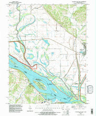Pleasant Hill West Illinois Historical topographic map, 1:24000 scale, 7.5 X 7.5 Minute, Year 1993