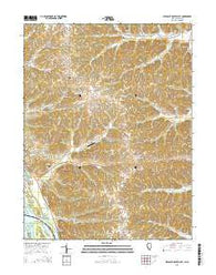 Pleasant Dale Valley Illinois Current topographic map, 1:24000 scale, 7.5 X 7.5 Minute, Year 2015