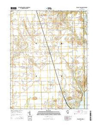 Pleasant Mound Illinois Current topographic map, 1:24000 scale, 7.5 X 7.5 Minute, Year 2015