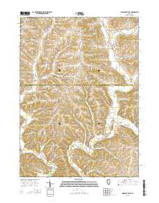 Pleasant Valley Illinois Current topographic map, 1:24000 scale, 7.5 X 7.5 Minute, Year 2015