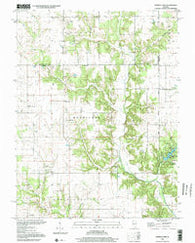 Ramsey Lake Illinois Historical topographic map, 1:24000 scale, 7.5 X 7.5 Minute, Year 1998