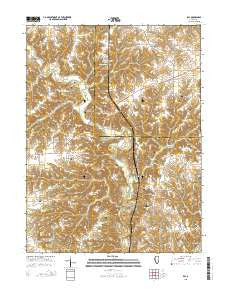 Ray Illinois Current topographic map, 1:24000 scale, 7.5 X 7.5 Minute, Year 2015