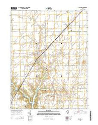Raymond Illinois Current topographic map, 1:24000 scale, 7.5 X 7.5 Minute, Year 2015