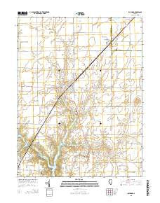 Raymond Illinois Current topographic map, 1:24000 scale, 7.5 X 7.5 Minute, Year 2015