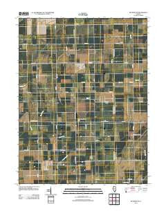 Raymond NE Illinois Historical topographic map, 1:24000 scale, 7.5 X 7.5 Minute, Year 2012