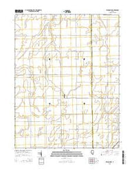 Raymond NE Illinois Current topographic map, 1:24000 scale, 7.5 X 7.5 Minute, Year 2015