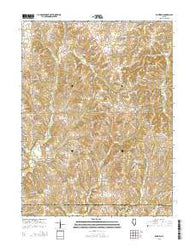 Richfield Illinois Current topographic map, 1:24000 scale, 7.5 X 7.5 Minute, Year 2015