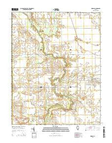 Ridgway Illinois Current topographic map, 1:24000 scale, 7.5 X 7.5 Minute, Year 2015