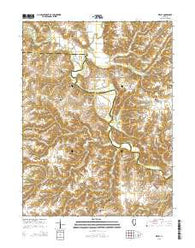 Ripley Illinois Current topographic map, 1:24000 scale, 7.5 X 7.5 Minute, Year 2015