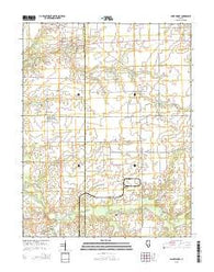 Saint Libory Illinois Current topographic map, 1:24000 scale, 7.5 X 7.5 Minute, Year 2015