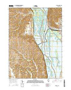 Savanna Illinois Current topographic map, 1:24000 scale, 7.5 X 7.5 Minute, Year 2015