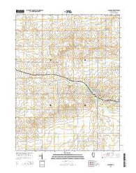 Saybrook Illinois Current topographic map, 1:24000 scale, 7.5 X 7.5 Minute, Year 2015