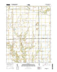 Scottland Illinois Current topographic map, 1:24000 scale, 7.5 X 7.5 Minute, Year 2015