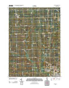 Seward Illinois Historical topographic map, 1:24000 scale, 7.5 X 7.5 Minute, Year 2012
