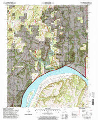 Shetlerville Illinois Historical topographic map, 1:24000 scale, 7.5 X 7.5 Minute, Year 1996