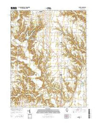 Snyder Illinois Current topographic map, 1:24000 scale, 7.5 X 7.5 Minute, Year 2015