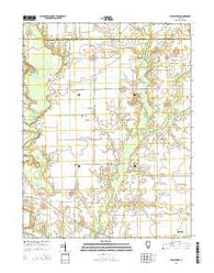 Stolletown Illinois Current topographic map, 1:24000 scale, 7.5 X 7.5 Minute, Year 2015