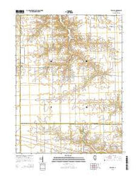 Tallula Illinois Current topographic map, 1:24000 scale, 7.5 X 7.5 Minute, Year 2015