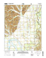 Tamms Illinois Current topographic map, 1:24000 scale, 7.5 X 7.5 Minute, Year 2015