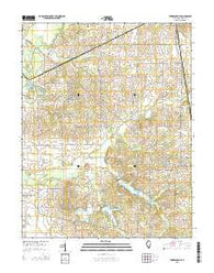 Thompsonville Illinois Current topographic map, 1:24000 scale, 7.5 X 7.5 Minute, Year 2015