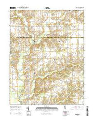Todds Mill Illinois Current topographic map, 1:24000 scale, 7.5 X 7.5 Minute, Year 2015