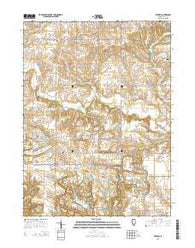 Victoria Illinois Current topographic map, 1:24000 scale, 7.5 X 7.5 Minute, Year 2015