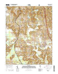 Vienna Illinois Current topographic map, 1:24000 scale, 7.5 X 7.5 Minute, Year 2015