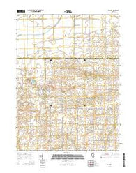Walnut Illinois Current topographic map, 1:24000 scale, 7.5 X 7.5 Minute, Year 2015