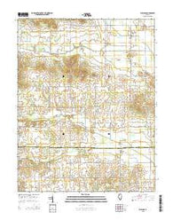 Walpole Illinois Current topographic map, 1:24000 scale, 7.5 X 7.5 Minute, Year 2015