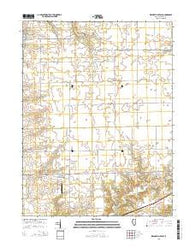 Waynesville East Illinois Current topographic map, 1:24000 scale, 7.5 X 7.5 Minute, Year 2015