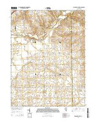 Waynesville West Illinois Current topographic map, 1:24000 scale, 7.5 X 7.5 Minute, Year 2015