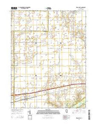 Weldon East Illinois Current topographic map, 1:24000 scale, 7.5 X 7.5 Minute, Year 2015