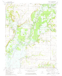 Wildcat Lake Illinois Historical topographic map, 1:24000 scale, 7.5 X 7.5 Minute, Year 1974