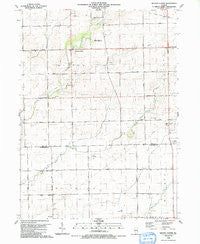 Wilton Center Illinois Historical topographic map, 1:24000 scale, 7.5 X 7.5 Minute, Year 1990