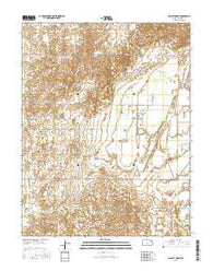 Big Salt Marsh Kansas Current topographic map, 1:24000 scale, 7.5 X 7.5 Minute, Year 2015