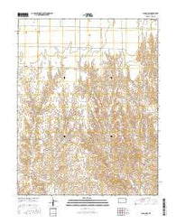 Bloom SW Kansas Current topographic map, 1:24000 scale, 7.5 X 7.5 Minute, Year 2016