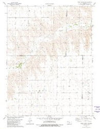 Dewey Ranch SW Kansas Historical topographic map, 1:24000 scale, 7.5 X 7.5 Minute, Year 1981