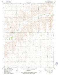 Dewey Ranch SW Kansas Historical topographic map, 1:24000 scale, 7.5 X 7.5 Minute, Year 1981
