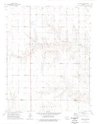 Dighton SW Kansas Historical topographic map, 1:24000 scale, 7.5 X 7.5 Minute, Year 1974