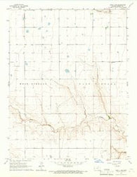 Leoti 3 NE Kansas Historical topographic map, 1:24000 scale, 7.5 X 7.5 Minute, Year 1965